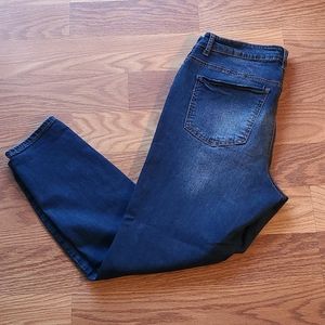 Rue 21 Mid Rise Curvy Skinny Jean Size 14